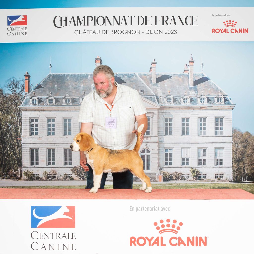CH. Reve de manille de la Magie de l'Argoat
