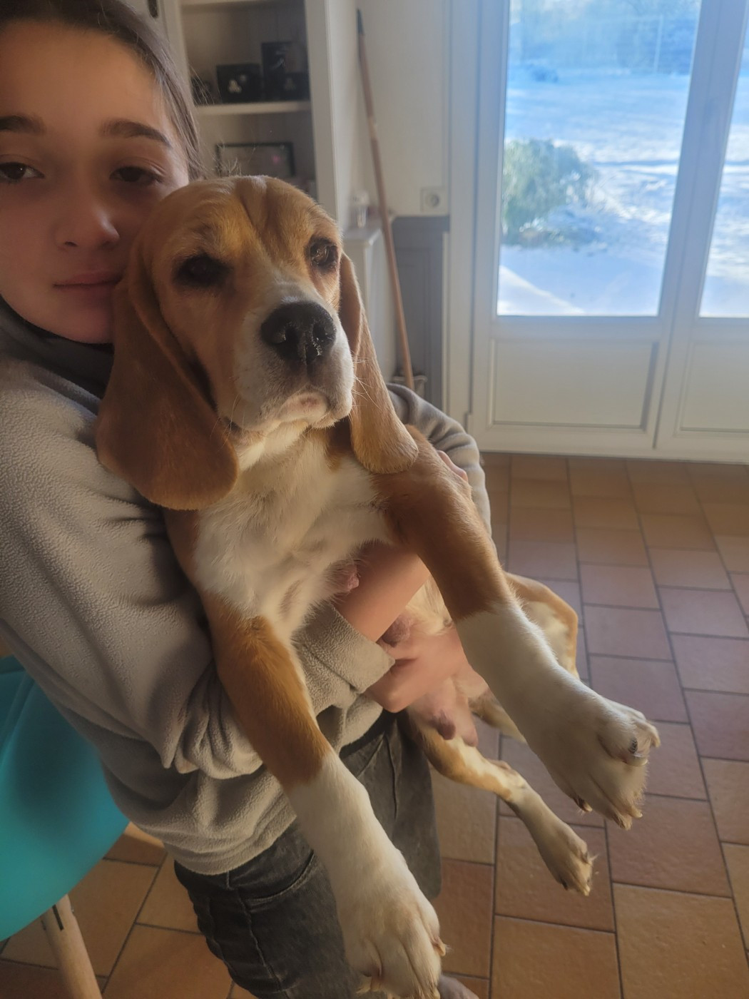 Utopia de la Magie de l'Argoat