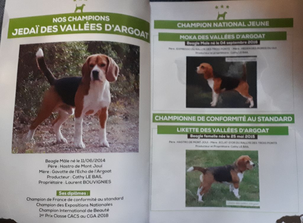 de la Magie de l'Argoat - Revue n°86 du club du beagle