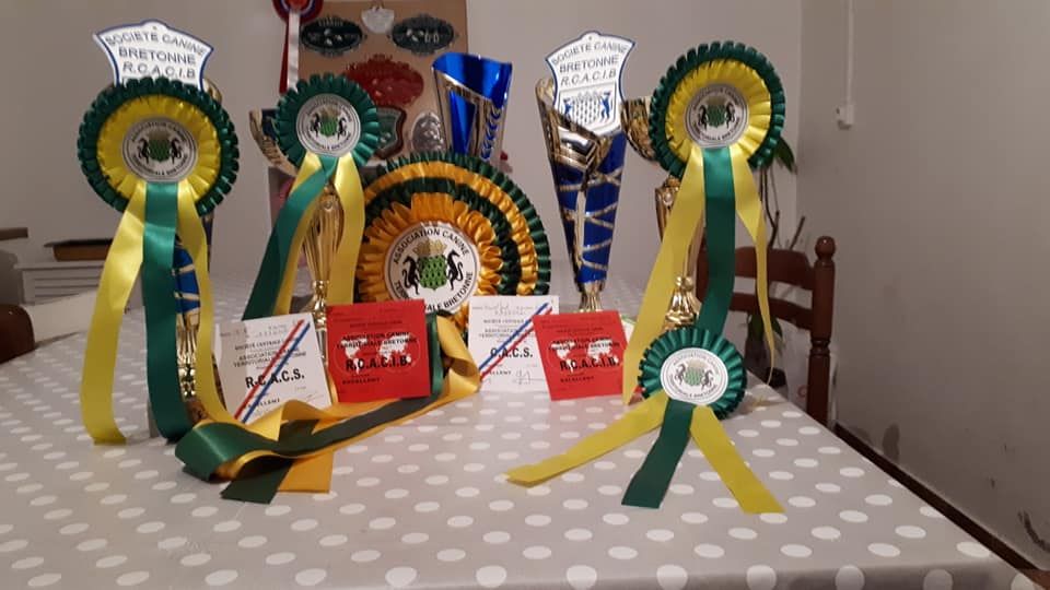 de la Magie de l'Argoat - exposition Speciale de Race de Rennes